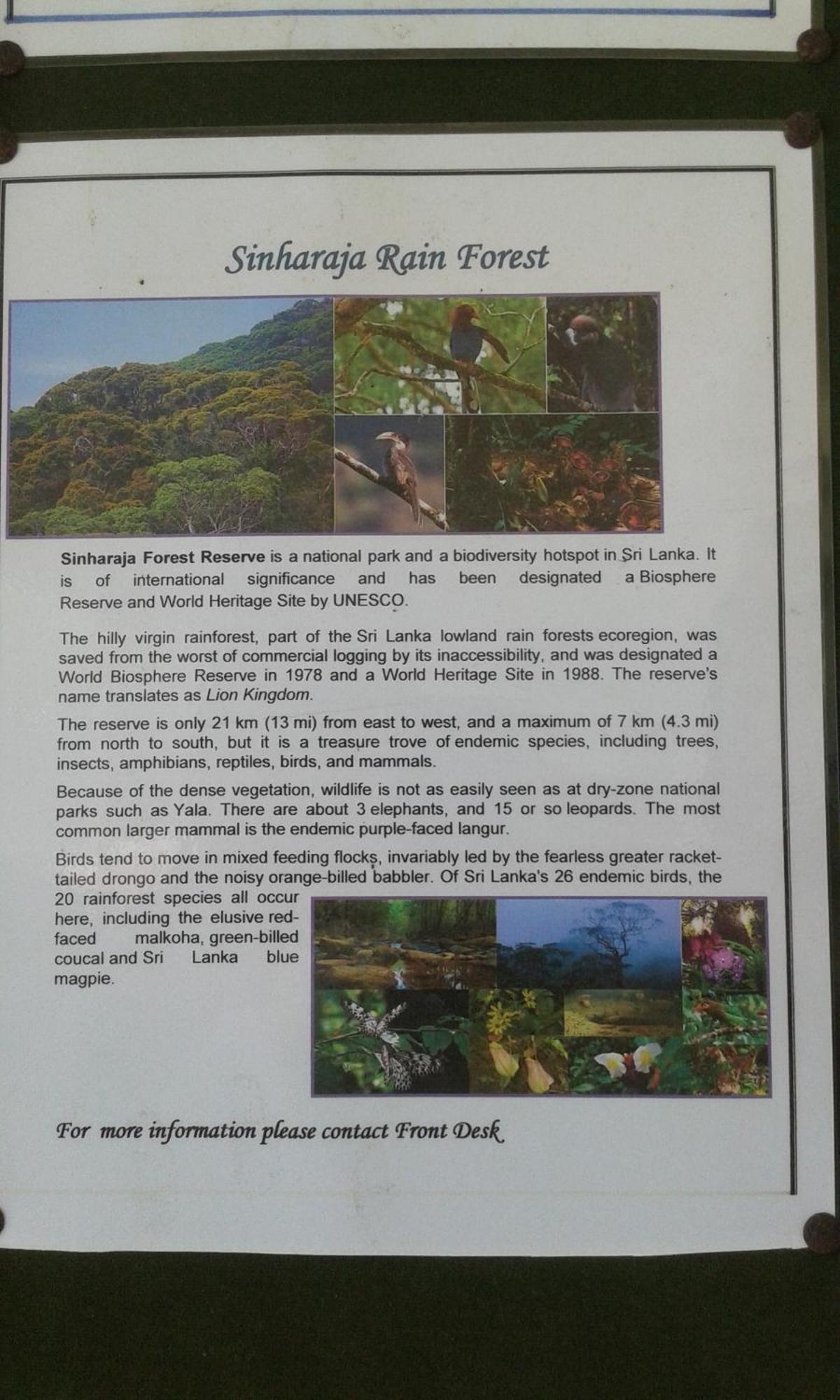 Kaween Homestay ウェリガマ エクステリア 写真